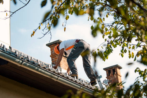 Best New Roof Installation  in Mahomet, IL