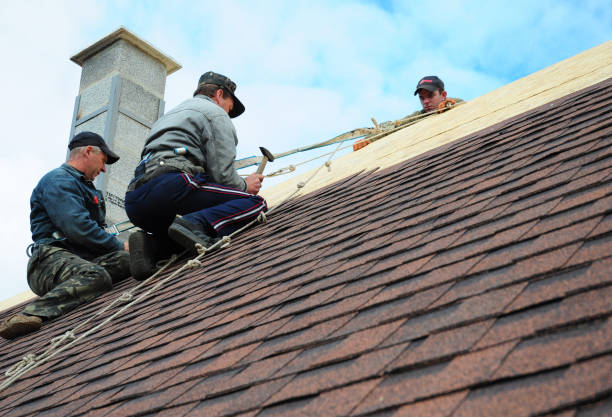 Best Local Roofing Companies  in Mahomet, IL