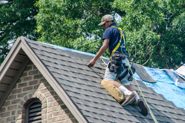Best Flat Roof Repair Services  in Mahomet, IL